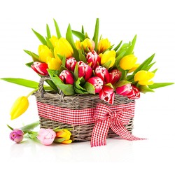 Корзина тюльпанов №5
