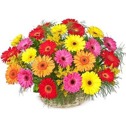 Корзина гербер №6