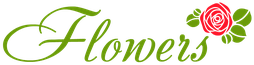 Flowers - продажа цветов