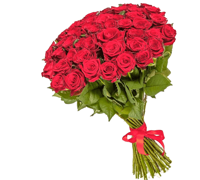 Розы - 25 шт., лента - 1 шт.